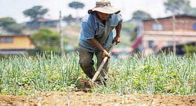  ¿Por qué no avanza la compra de tierras para los campesinos?